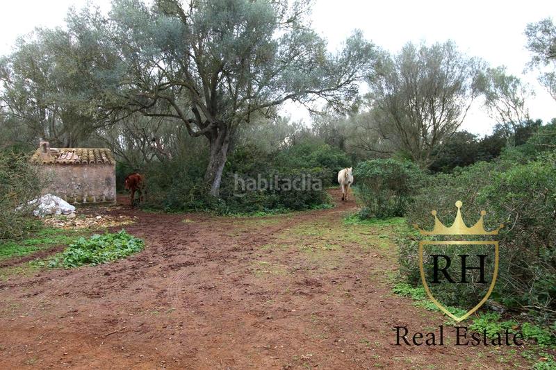 Foto 71f05e75-2a19-4be4-a26b-725269586fed. Residential plot in Felanitx poble Felanitx Foto 71f05e75-2a19-4be4-a26b-725269586fed. Residential plot in Felanitx poble Felanitx