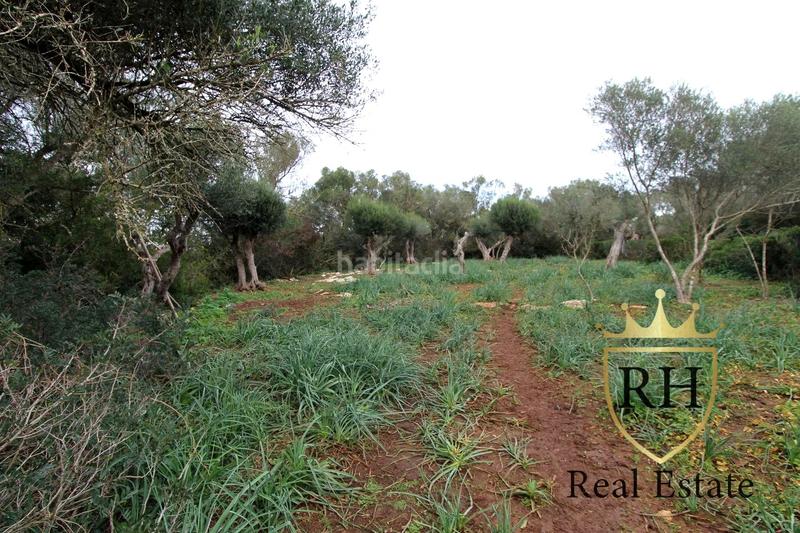 Foto 8f25622b-c41f-4594-bb56-ebd6280f2e15. Residential plot in Felanitx poble Felanitx Foto 8f25622b-c41f-4594-bb56-ebd6280f2e15. Residential plot in Felanitx poble Felanitx