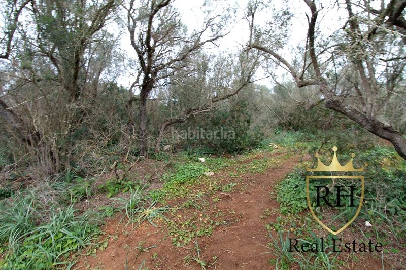 Foto a33cc70e-ae08-4821-9fe3-7c88c5f513fc. Residential plot in Felanitx poble Felanitx Foto a33cc70e-ae08-4821-9fe3-7c88c5f513fc. Residential plot in Felanitx poble Felanitx