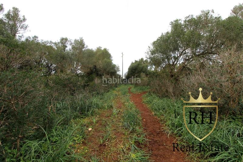 Foto b40e8eb1-7953-442b-9488-c9ed7b886030. Residential plot in Felanitx poble Felanitx Foto b40e8eb1-7953-442b-9488-c9ed7b886030. Residential plot in Felanitx poble Felanitx