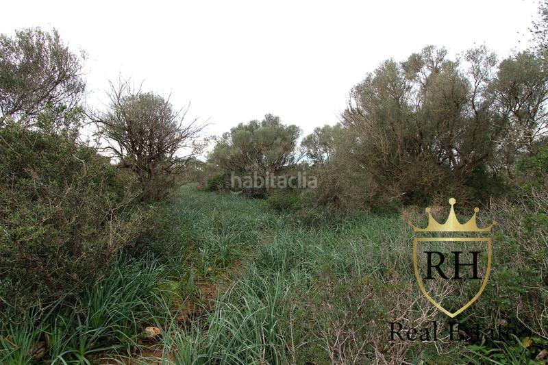 Foto e88b3dda-046a-45f2-b4be-6b190ff3b2e5. Residential plot in Felanitx poble Felanitx Foto e88b3dda-046a-45f2-b4be-6b190ff3b2e5. Residential plot in Felanitx poble Felanitx