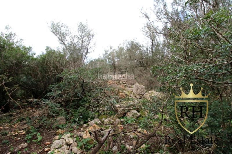 Foto f178417d-e576-4955-870d-4275563dbb08. Residential plot in Felanitx poble Felanitx Foto f178417d-e576-4955-870d-4275563dbb08. Residential plot in Felanitx poble Felanitx