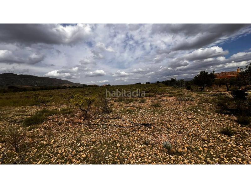 Foto 02a57f04-1336-4d6b-8987-66a1c1aecfe9. Finca rústica finca rustica en Caudete Foto 02a57f04-1336-4d6b-8987-66a1c1aecfe9. Finca rústica finca rustica en Caudete