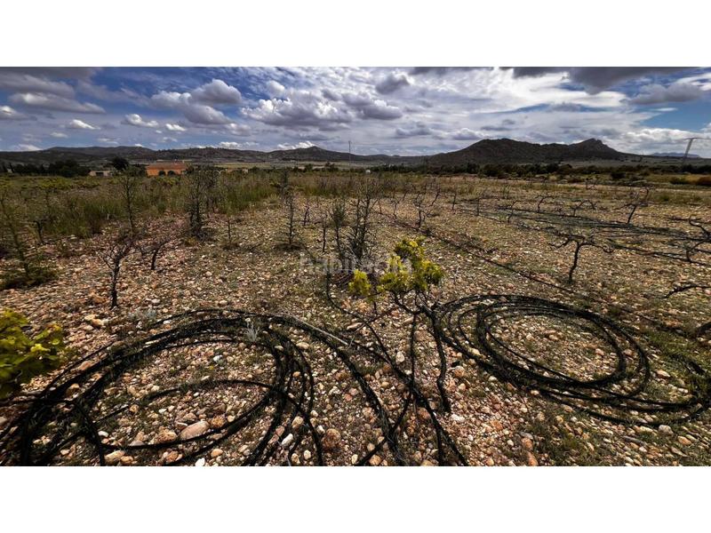 Foto 06d511bc-51b8-404d-989d-afb50697982c. Finca rústica finca rustica en Caudete Foto 06d511bc-51b8-404d-989d-afb50697982c. Finca rústica finca rustica en Caudete