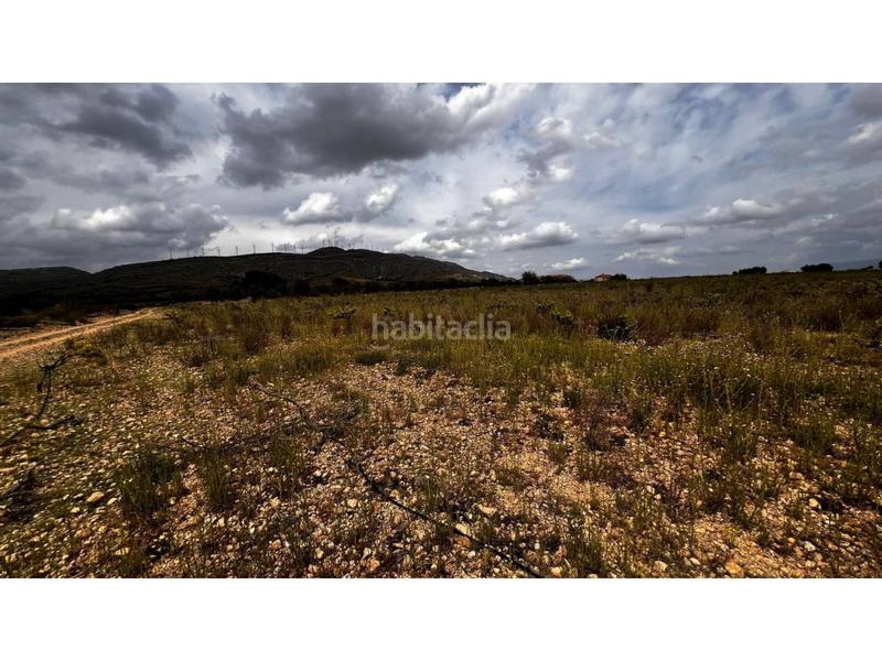 Foto 10b7f070-3d6d-455c-baeb-6c7192aa3a08. Finca rústica finca rustica en Caudete Foto 10b7f070-3d6d-455c-baeb-6c7192aa3a08. Finca rústica finca rustica en Caudete