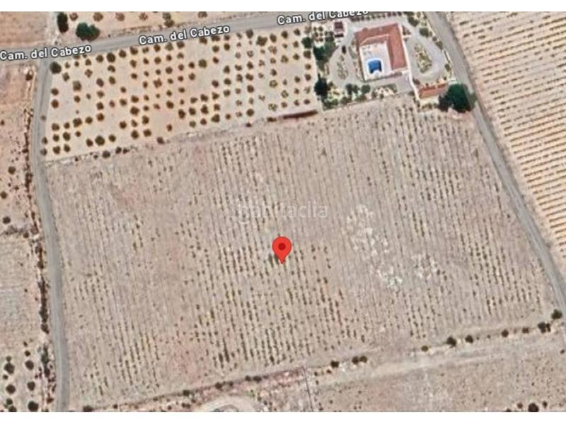 Foto 3471dcd8-2762-4122-bc75-3a04f08cdb14. Finca rústica finca rustica en Caudete Foto 3471dcd8-2762-4122-bc75-3a04f08cdb14. Finca rústica finca rustica en Caudete