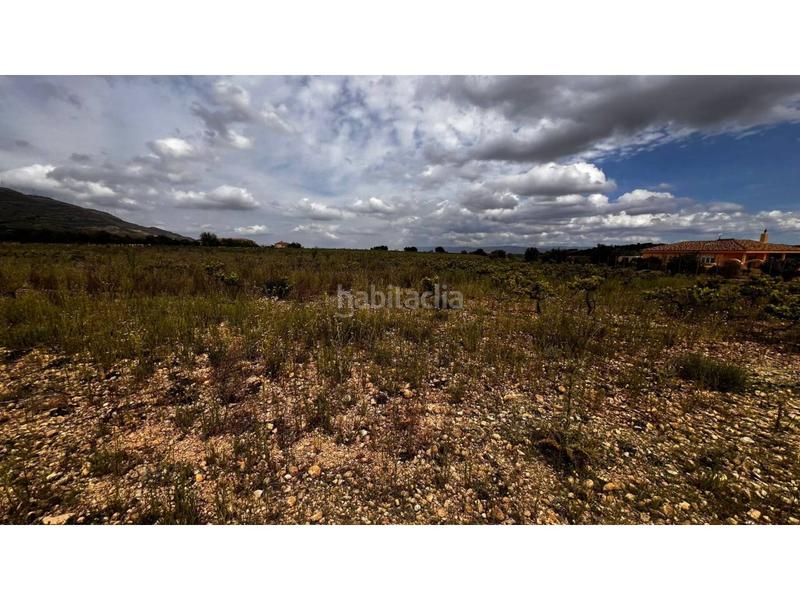 Foto 51ee5e9a-c645-40ad-bab2-5b8ef7f865b8. Finca rústica finca rustica en Caudete Foto 51ee5e9a-c645-40ad-bab2-5b8ef7f865b8. Finca rústica finca rustica en Caudete