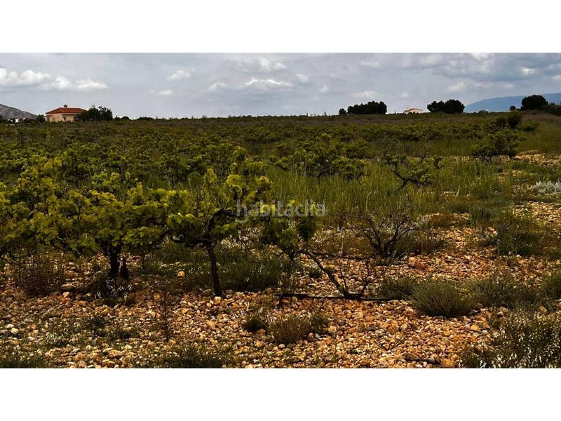 Foto 89796d77-bdd2-4522-aaa7-1267c2a2c019. Finca rústica finca rustica en Caudete Foto 89796d77-bdd2-4522-aaa7-1267c2a2c019. Finca rústica finca rustica en Caudete