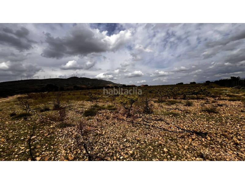 Foto af225291-bebc-4fb5-8c71-a45c7b8819aa. Finca rústica finca rustica en Caudete Foto af225291-bebc-4fb5-8c71-a45c7b8819aa. Finca rústica finca rustica en Caudete