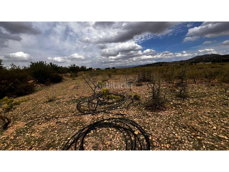 Foto b6868f65-49c8-4679-928d-6e68df59ff8a. Finca rústica finca rustica en Caudete Foto b6868f65-49c8-4679-928d-6e68df59ff8a. Finca rústica finca rustica en Caudete