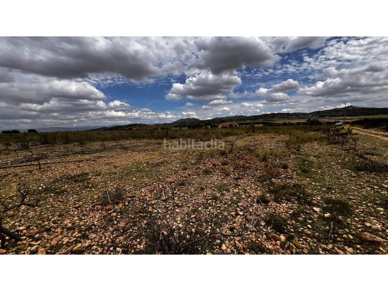 Foto c4c31738-f665-427f-9054-a1234cab4564. Finca rústica finca rustica en Caudete Foto c4c31738-f665-427f-9054-a1234cab4564. Finca rústica finca rustica en Caudete