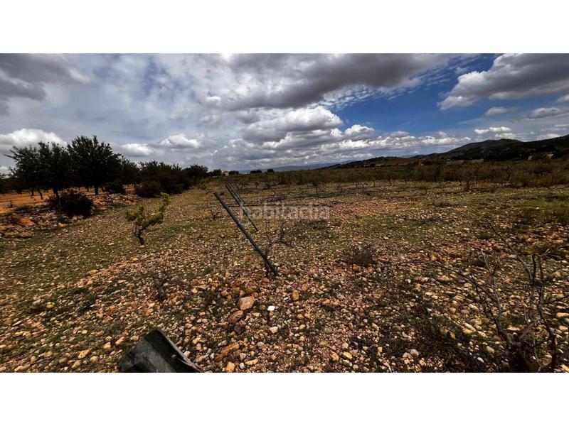 Foto cf1d3474-4d73-4de6-a3d5-0ea4f8179d92. Finca rústica finca rustica en Caudete Foto cf1d3474-4d73-4de6-a3d5-0ea4f8179d92. Finca rústica finca rustica en Caudete