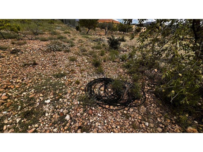 Foto dd82ab46-d51a-4482-b2aa-46c1517eff3b. Finca rústica finca rustica en Caudete Foto dd82ab46-d51a-4482-b2aa-46c1517eff3b. Finca rústica finca rustica en Caudete