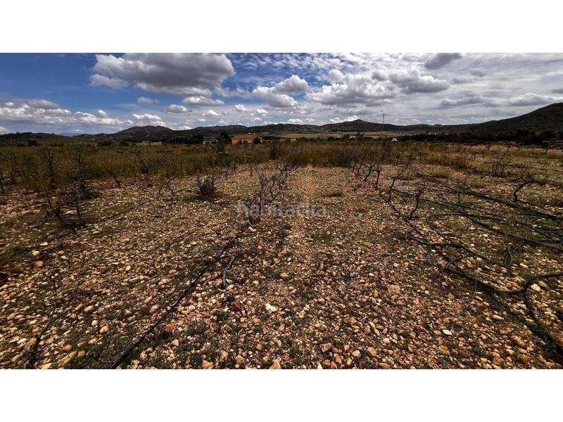Foto f291de36-30a1-4dad-a802-10975d2e2f0b. Finca rústica finca rustica en Caudete Foto f291de36-30a1-4dad-a802-10975d2e2f0b. Finca rústica finca rustica en Caudete