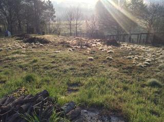 Residential Plot  Couso Residential Plot  Couso