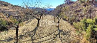 Finca rústica Muscaret. Terreno rustico en relleu de 11.800 m2. Finca rústica Muscaret. Terreno rustico en relleu de 11.800 m2.