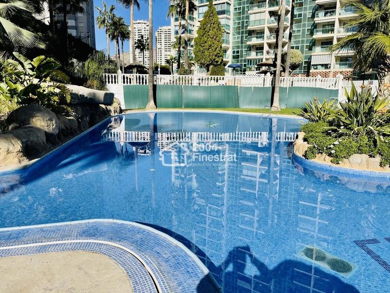 Foto ed0f4416-a68f-4b06-a352-cf390ea85cb7. Appartement avec piscine dans Cala Palmera-Atrium Vila Joiosa (la) Foto ed0f4416-a68f-4b06-a352-cf390ea85cb7. Appartement avec piscine dans Cala Palmera-Atrium Vila Joiosa (la)