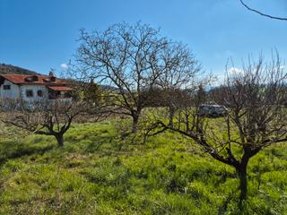 Terreno residenziale in Calle san juan 34. Se vende terreno edificable en orrio Terreno residenziale in Calle san juan 34. Se vende terreno edificable en orrio