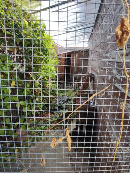 Foto 0f8bbb56-31c7-41ff-b308-19f1c893065b. Xalet amb calefacció aparcament a Cevico de la Torre Foto 0f8bbb56-31c7-41ff-b308-19f1c893065b. Xalet amb calefacció aparcament a Cevico de la Torre