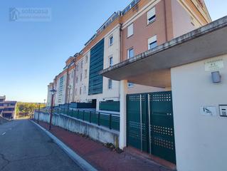 Pis  Torrentera. En arroyo de la encomienda Pis  Torrentera. En arroyo de la encomienda