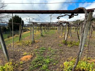 Rural plot in Prolongacion m davila 26q Rural plot in Prolongacion m davila 26q