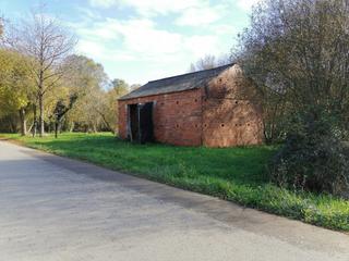 Finca rústica a Castro de Rei. Se vende terreno con arboleda y una pequeña edificación en castr Finca rústica a Castro de Rei. Se vende terreno con arboleda y una pequeña edificación en castr
