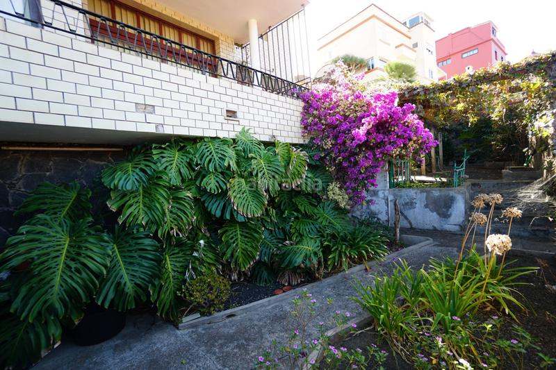 Foto b3aa30aa-eea4-421c-976c-d88336264938. Chalet  en el monte, en Monte Lentiscal - Las Meleguinas Santa Brígida Foto b3aa30aa-eea4-421c-976c-d88336264938. Chalet  en el monte, en Monte Lentiscal - Las Meleguinas Santa Brígida