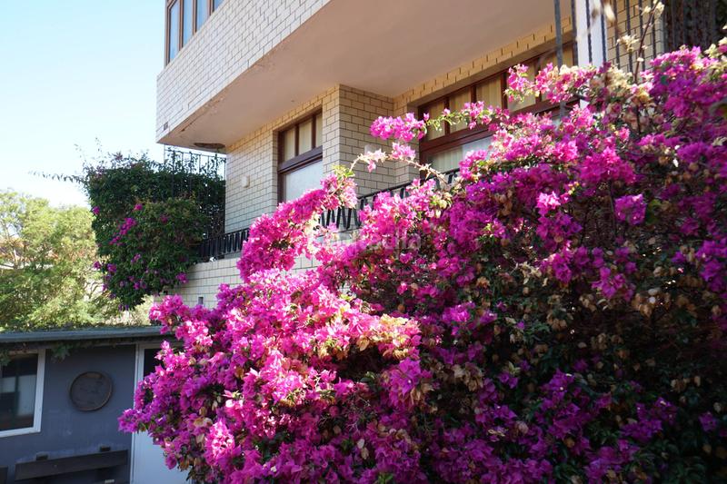 Foto d190c313-602e-45d9-a24c-ecff1f6ff5fc. Chalet  en el monte, en Monte Lentiscal - Las Meleguinas Santa Brígida Foto d190c313-602e-45d9-a24c-ecff1f6ff5fc. Chalet  en el monte, en Monte Lentiscal - Las Meleguinas Santa Brígida