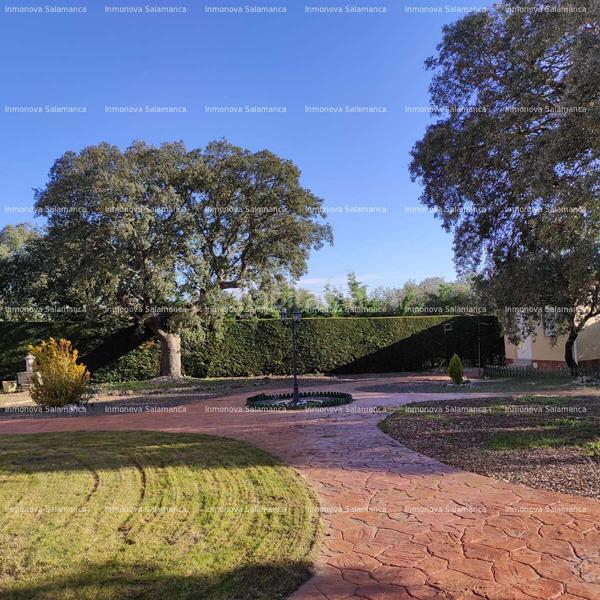 Foto 56bcb4b4-0abf-4a3e-a67d-6ccdb0040c9f. Casa adossada amb calefacció a Zurguén Salamanca Foto 56bcb4b4-0abf-4a3e-a67d-6ccdb0040c9f. Casa adossada amb calefacció a Zurguén Salamanca