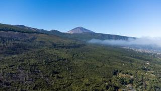 Finca rústica  Calle doña ana cruz de tea. Venta de terreno en aguamansa Finca rústica  Calle doña ana cruz de tea. Venta de terreno en aguamansa