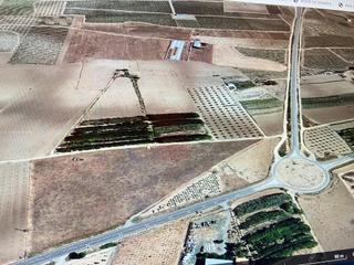 Finca rústica a Avenida alcázar 37. Venta de tierra de regadio muy cercana al pueblo Finca rústica a Avenida alcázar 37. Venta de tierra de regadio muy cercana al pueblo