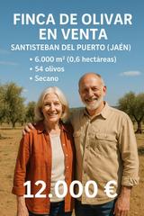 Finca rústica a Polígono 15 parcela 205 dehesilla del rico. santi 165. El 100 de la nuda propiedad de la siguiente finca rústica Finca rústica a Polígono 15 parcela 205 dehesilla del rico. santi 165. El 100 de la nuda propiedad de la siguiente finca rústica