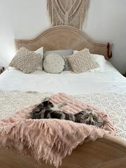 Attique à Miller Attique à Miller