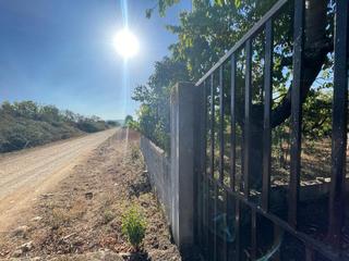 Propriété Chanas. Se vende parcela con caseta Propriété Chanas. Se vende parcela con caseta