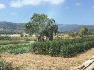 Bauernhof in Borges del Camp (Les). Gran oportunidad de inversión en subastas de activos!finca rústi Bauernhof in Borges del Camp (Les). Gran oportunidad de inversión en subastas de activos!finca rústi