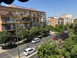 Pis a San Pablo Pis a San Pablo