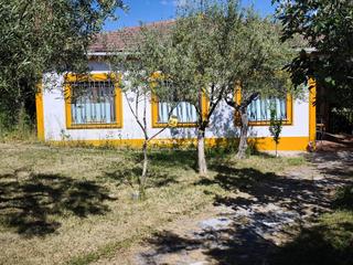 Casa a Alta 4. Casa con garaje y jardín en matilla de los caños Casa a Alta 4. Casa con garaje y jardín en matilla de los caños