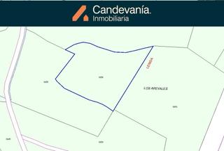 Fondo rustico  Calle luis cernuda Fondo rustico  Calle luis cernuda