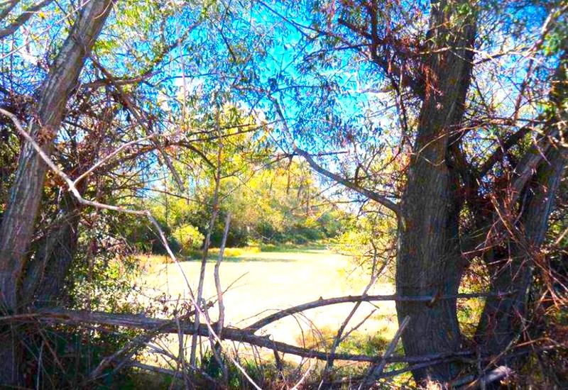 Foto acf21f34-bd15-4856-a1e9-c53df722b451. Wohngrundstück in Villaquilambre Foto acf21f34-bd15-4856-a1e9-c53df722b451. Wohngrundstück in Villaquilambre