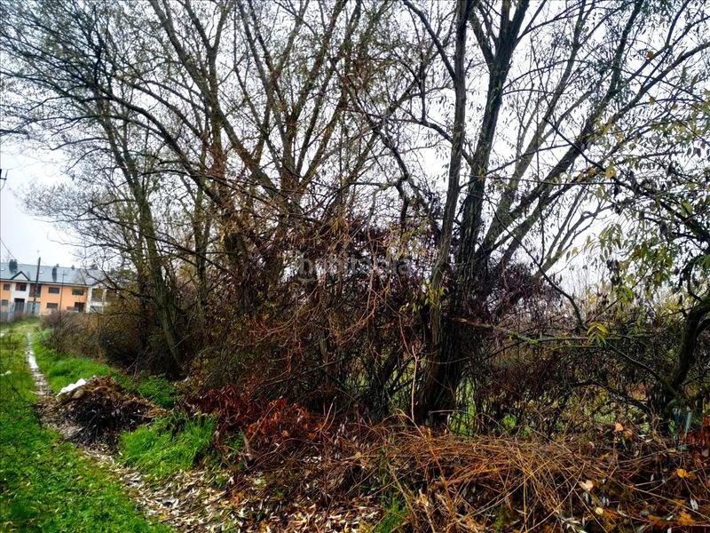 Foto c4771a6a-53a0-47a8-a054-8506916d579f. Wohngrundstück in Villaquilambre Foto c4771a6a-53a0-47a8-a054-8506916d579f. Wohngrundstück in Villaquilambre