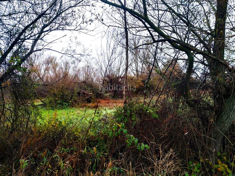 Foto cabd806a-f5f6-4206-a759-c81c3ff777a6. Wohngrundstück in Villaquilambre Foto cabd806a-f5f6-4206-a759-c81c3ff777a6. Wohngrundstück in Villaquilambre