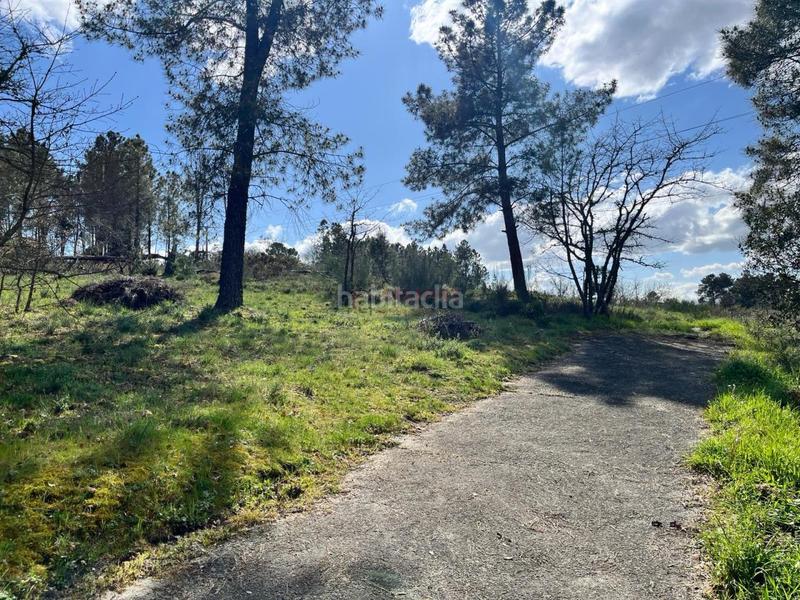 Foto a98cf332-fd04-4b89-9a39-4278e68561be. Terreno residencial en San Cibrao das Viñas Foto a98cf332-fd04-4b89-9a39-4278e68561be. Terreno residencial en San Cibrao das Viñas