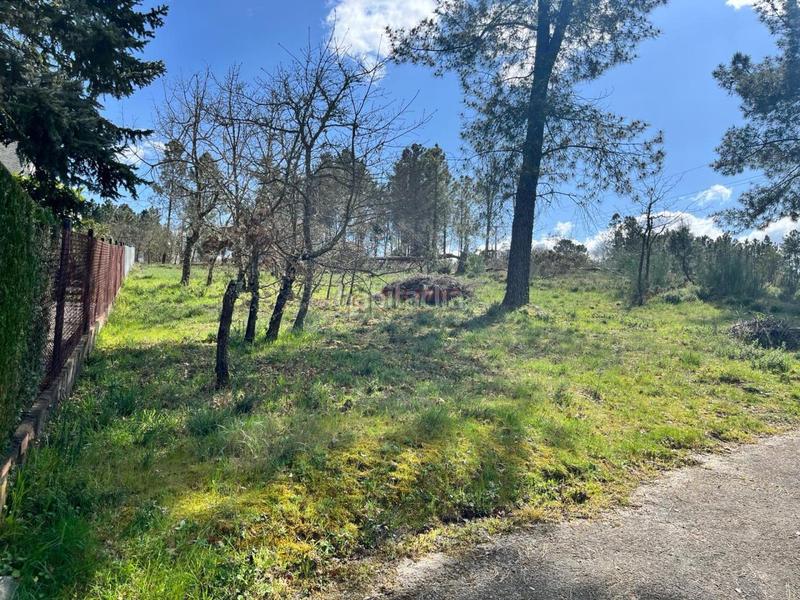 Foto f87564d8-f863-48ab-b42e-2a81f2cb7cdc. Terreno residencial en San Cibrao das Viñas Foto f87564d8-f863-48ab-b42e-2a81f2cb7cdc. Terreno residencial en San Cibrao das Viñas