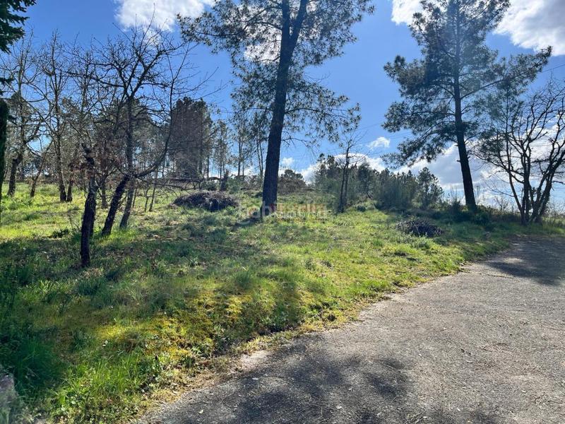 Foto fc821610-3e16-4e36-8b4c-c5bdc9f15880. Terreno residencial en San Cibrao das Viñas Foto fc821610-3e16-4e36-8b4c-c5bdc9f15880. Terreno residencial en San Cibrao das Viñas