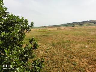 Masia a Atapuerca Masia a Atapuerca