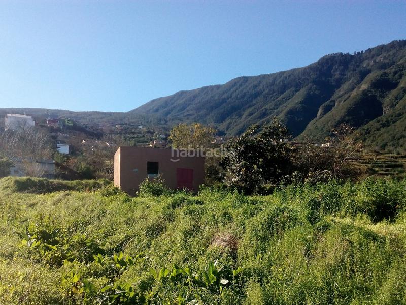 Foto 206b77f3-136b-46fe-a437-5c1ed3679f76. Finca rústica a camino los angostos 57 a Palo Blanco Realejos (Los) Foto 206b77f3-136b-46fe-a437-5c1ed3679f76. Finca rústica a camino los angostos 57 a Palo Blanco Realejos (Los)