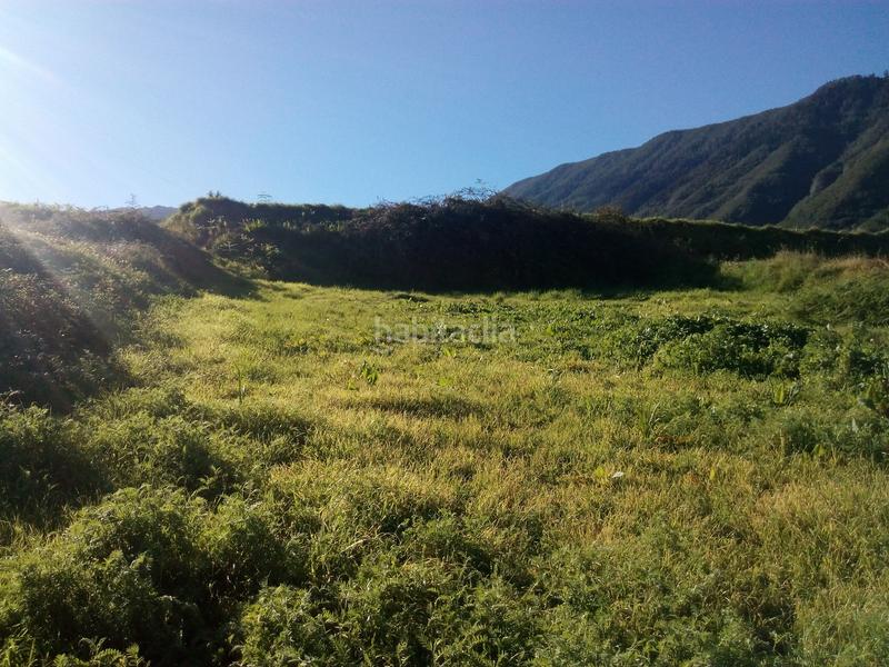 Foto 2282fdfb-d58d-4183-a14e-dcc5bf4532ce. Finca rústica a camino los angostos 57 a Palo Blanco Realejos (Los) Foto 2282fdfb-d58d-4183-a14e-dcc5bf4532ce. Finca rústica a camino los angostos 57 a Palo Blanco Realejos (Los)