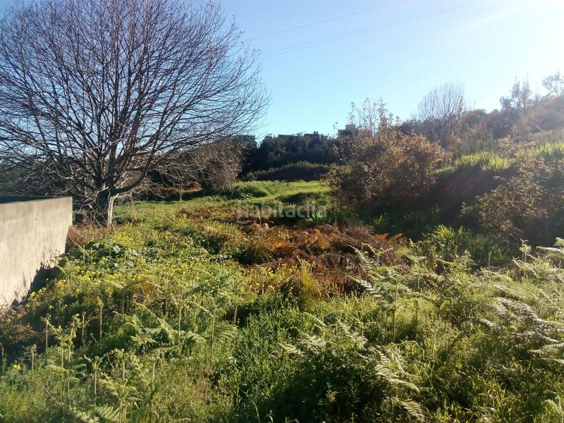 Foto 4353d5e4-e4fe-4b49-a881-906088039b3d. Finca rústica a camino los angostos 57 a Palo Blanco Realejos (Los) Foto 4353d5e4-e4fe-4b49-a881-906088039b3d. Finca rústica a camino los angostos 57 a Palo Blanco Realejos (Los)