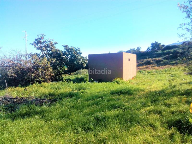 Foto 55e48597-8cf4-4e8b-a65b-361a91702a26. Finca rústica a camino los angostos 57 a Palo Blanco Realejos (Los) Foto 55e48597-8cf4-4e8b-a65b-361a91702a26. Finca rústica a camino los angostos 57 a Palo Blanco Realejos (Los)