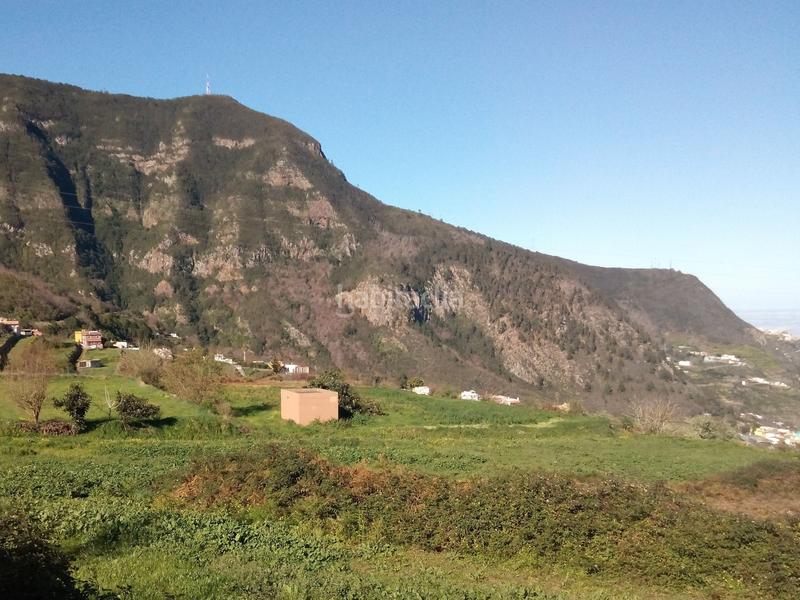 Foto 7aec1553-4c46-4b89-8625-85e9f29db93b. Finca rústica a camino los angostos 57 a Palo Blanco Realejos (Los) Foto 7aec1553-4c46-4b89-8625-85e9f29db93b. Finca rústica a camino los angostos 57 a Palo Blanco Realejos (Los)